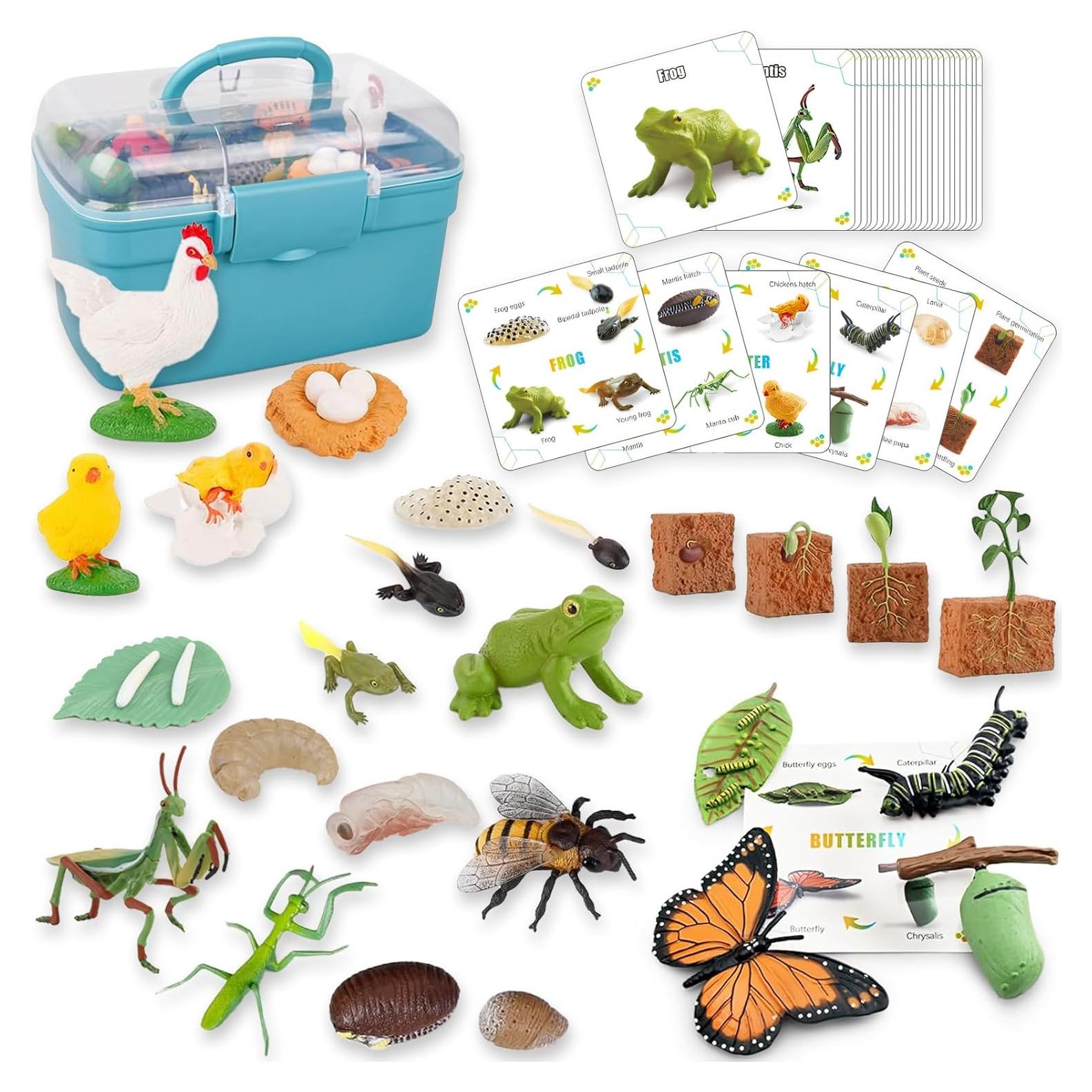 Set de Juguetes de Aprendizaje Montessori 6 Especies - 0.59 kg