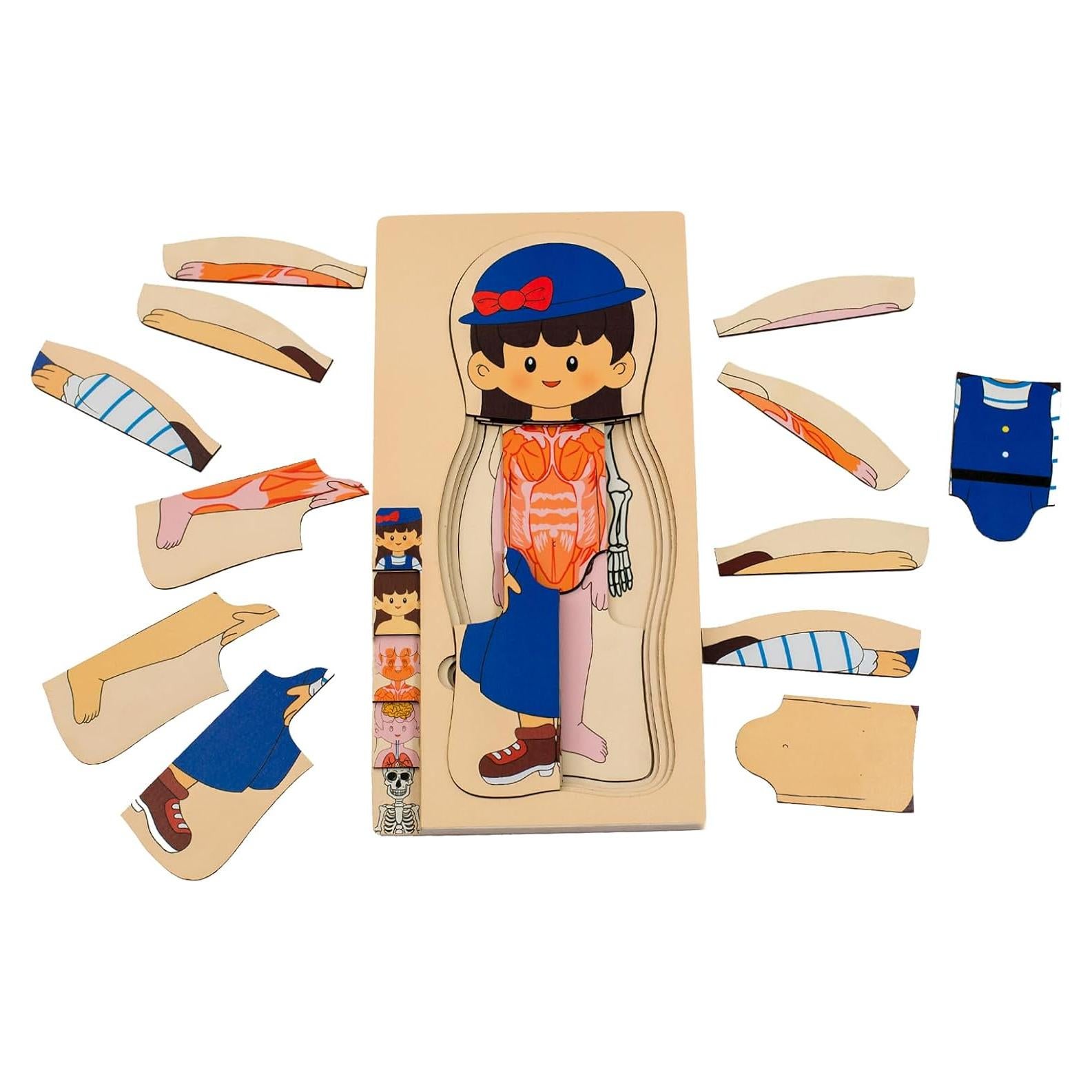 Rompecabezas de Anatomía Infantil de Madera - 5 Capas - 3 a 5 Años