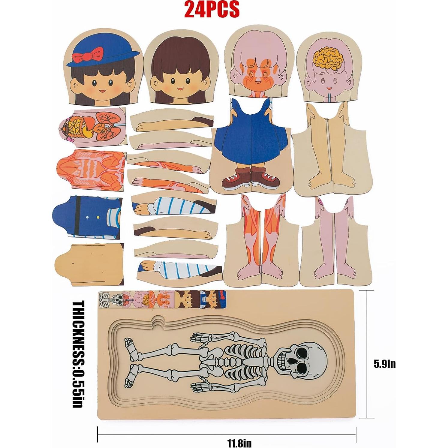 Rompecabezas de Anatomía Infantil de Madera - 5 Capas - 3 a 5 Años