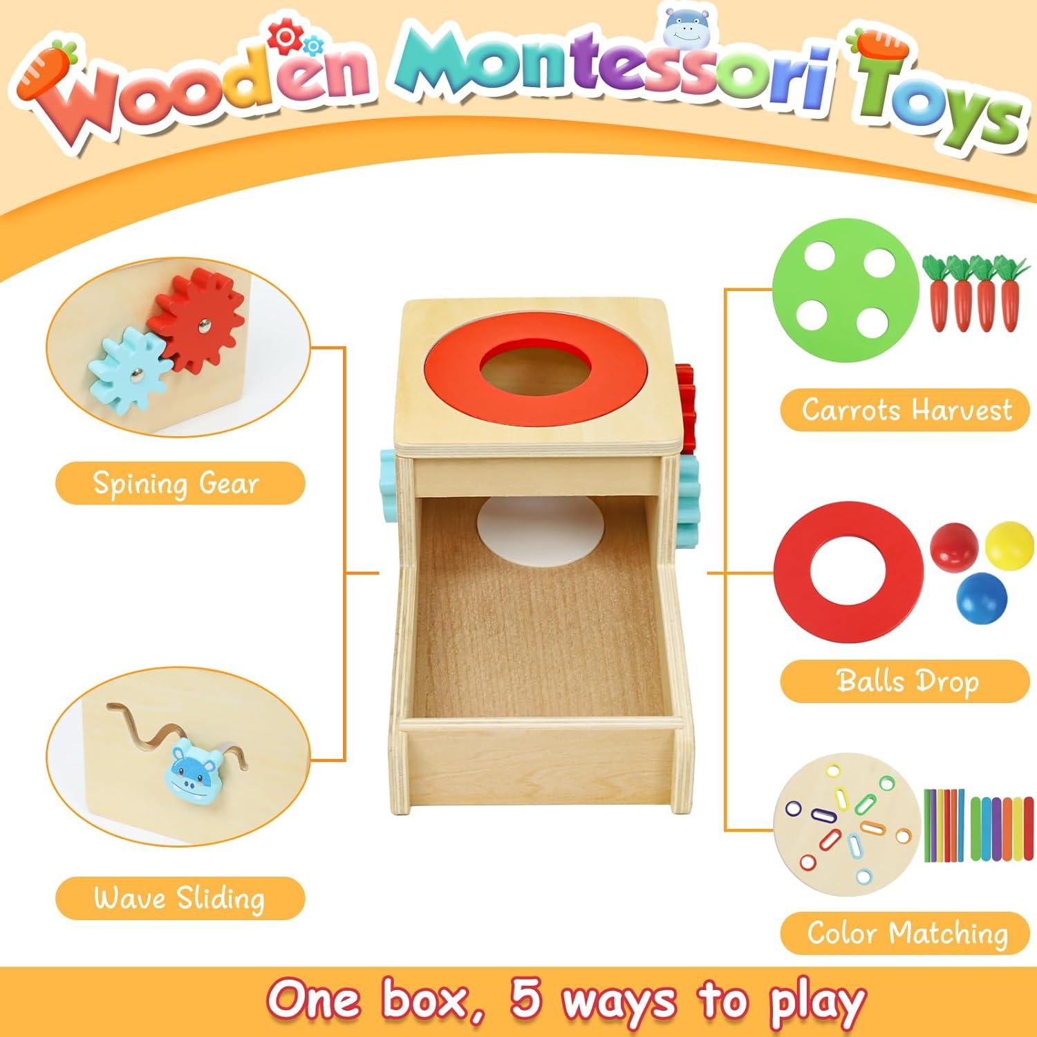 Juguetes Montessori Wdmiya 6 en 1 de Madera para Niños 1-3 Años
