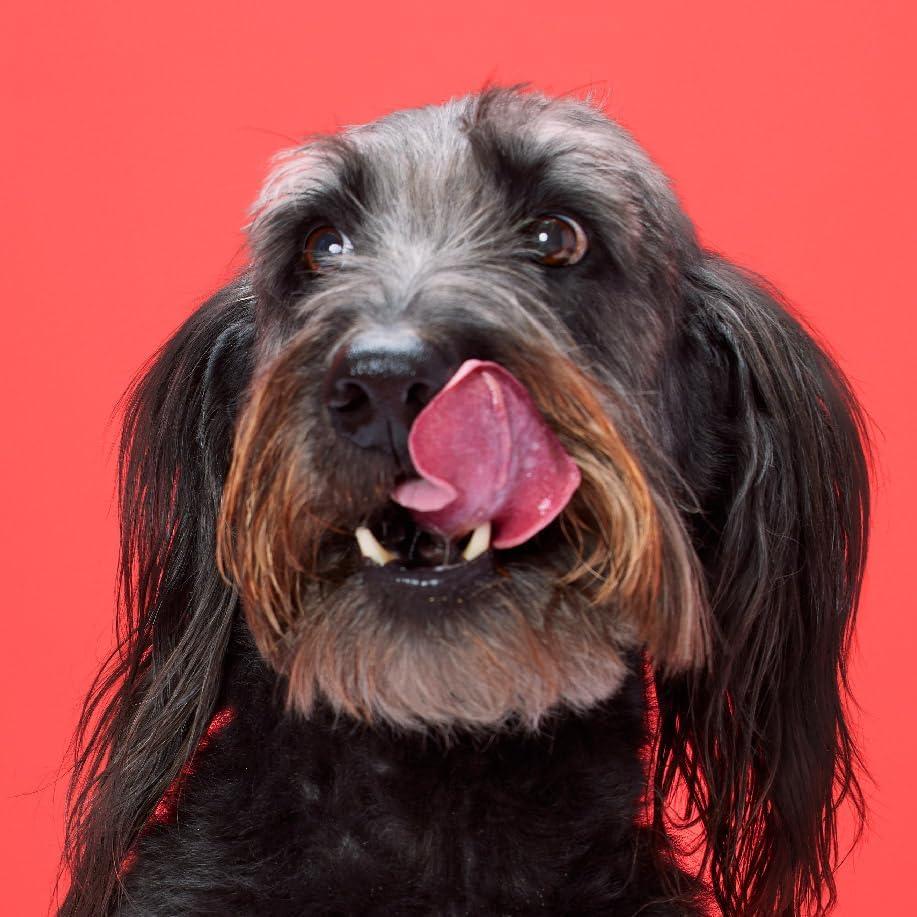 Palitos Torcidos DreamBone 50 Unidades Sabor Tocino y Queso