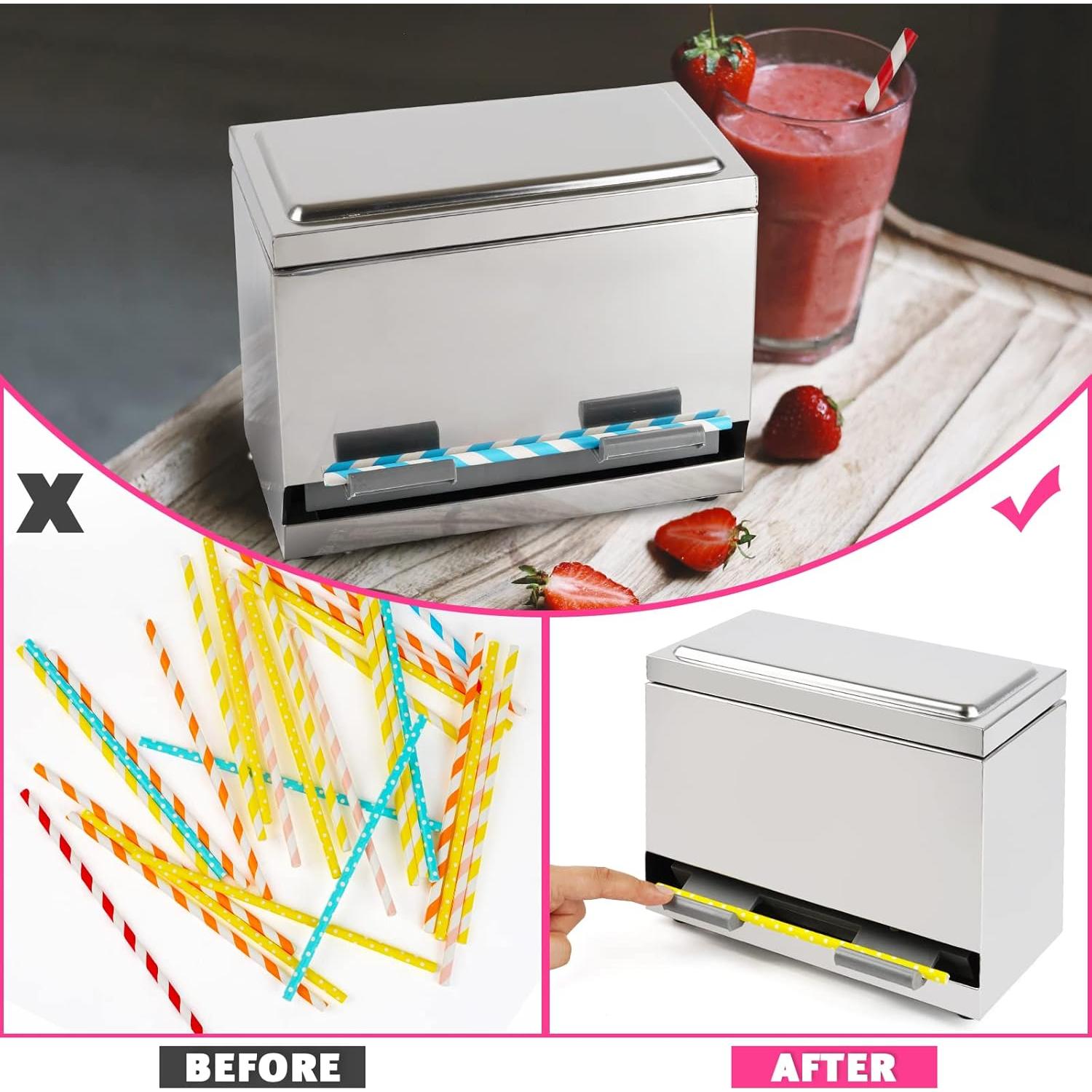 Dispensador de Pajitas Reutilizables Creproly Acero Inoxidable Plata