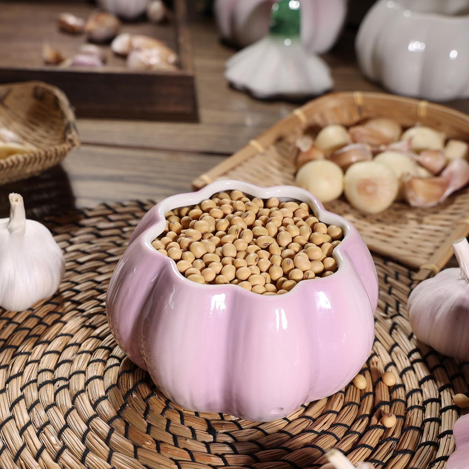 Contenedor de Ajo TOIVO Cerámica Morado con Tapa Abatible