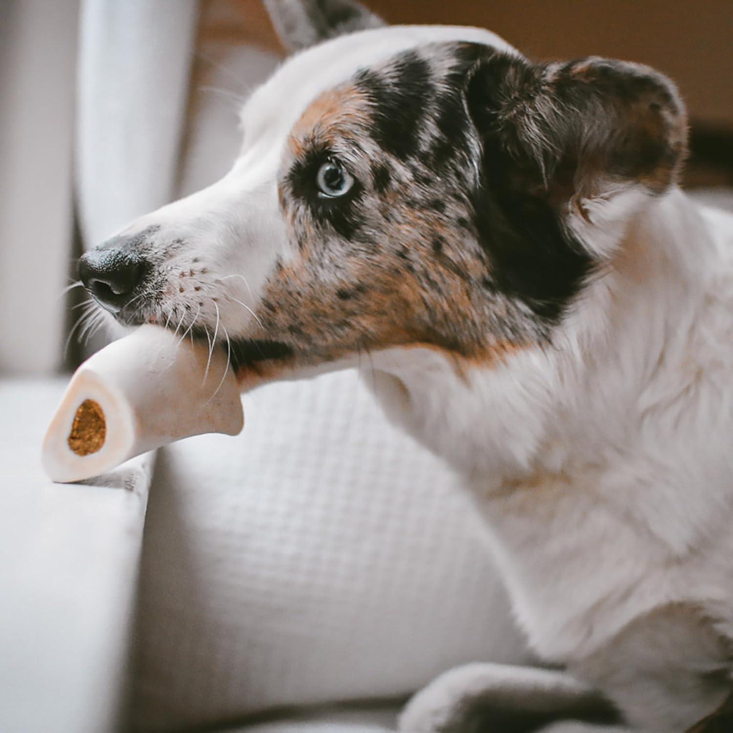 Hueso de Espinilla Relleno Cadet 3-4" para Perros Pequeños