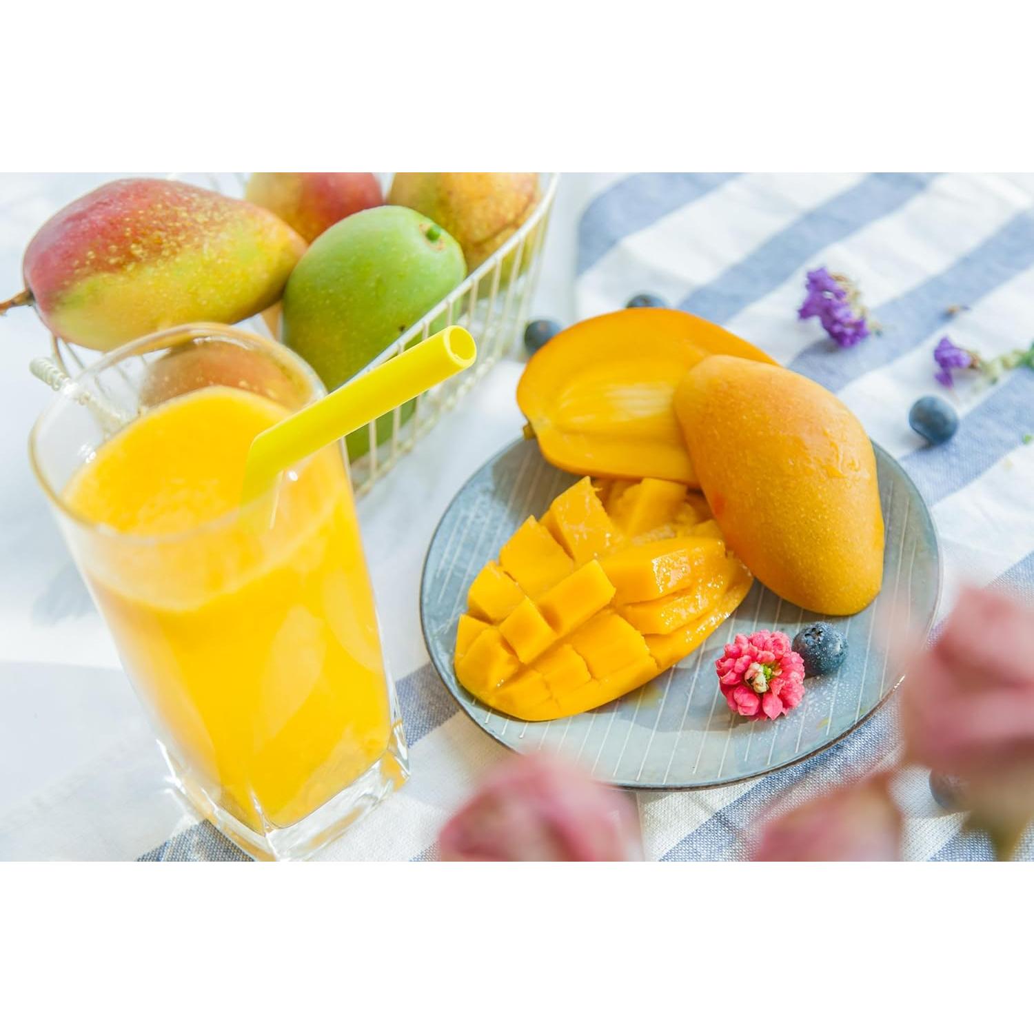 Pajitas de Silicona Reutilizables Coson Home 12 Piezas 21.6 cm