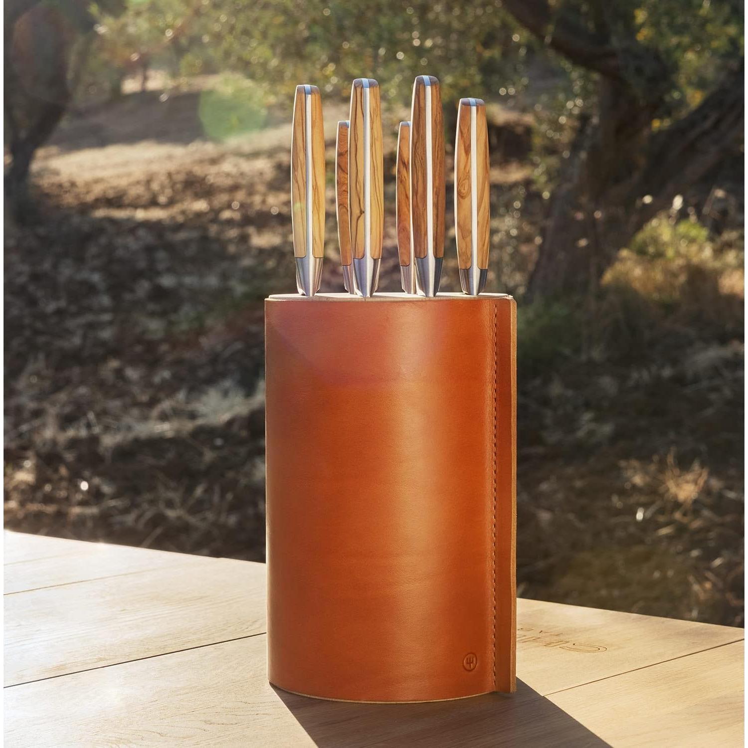 Juego de Cuchillos Wüsthof Amici 6 Piezas con Bloque