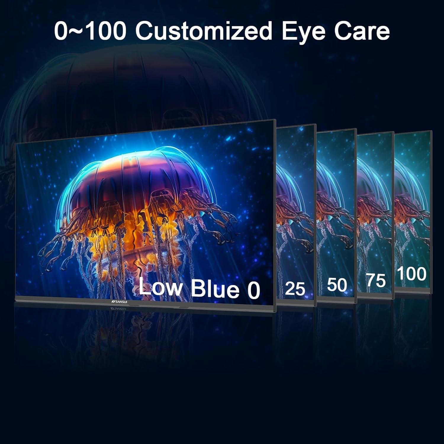 Monitor SANSUI 24" IPS FHD 100Hz Montaje VESA HDMI