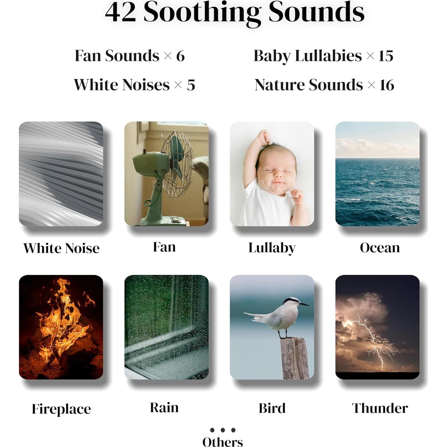 Radio Meteorológica Raynic con Manivela y Solar 5000mAh