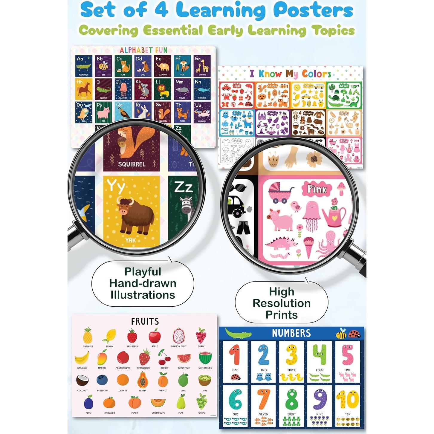 Carteles de Aprendizaje Impermeables Montessori Blue Bird 4 Piezas