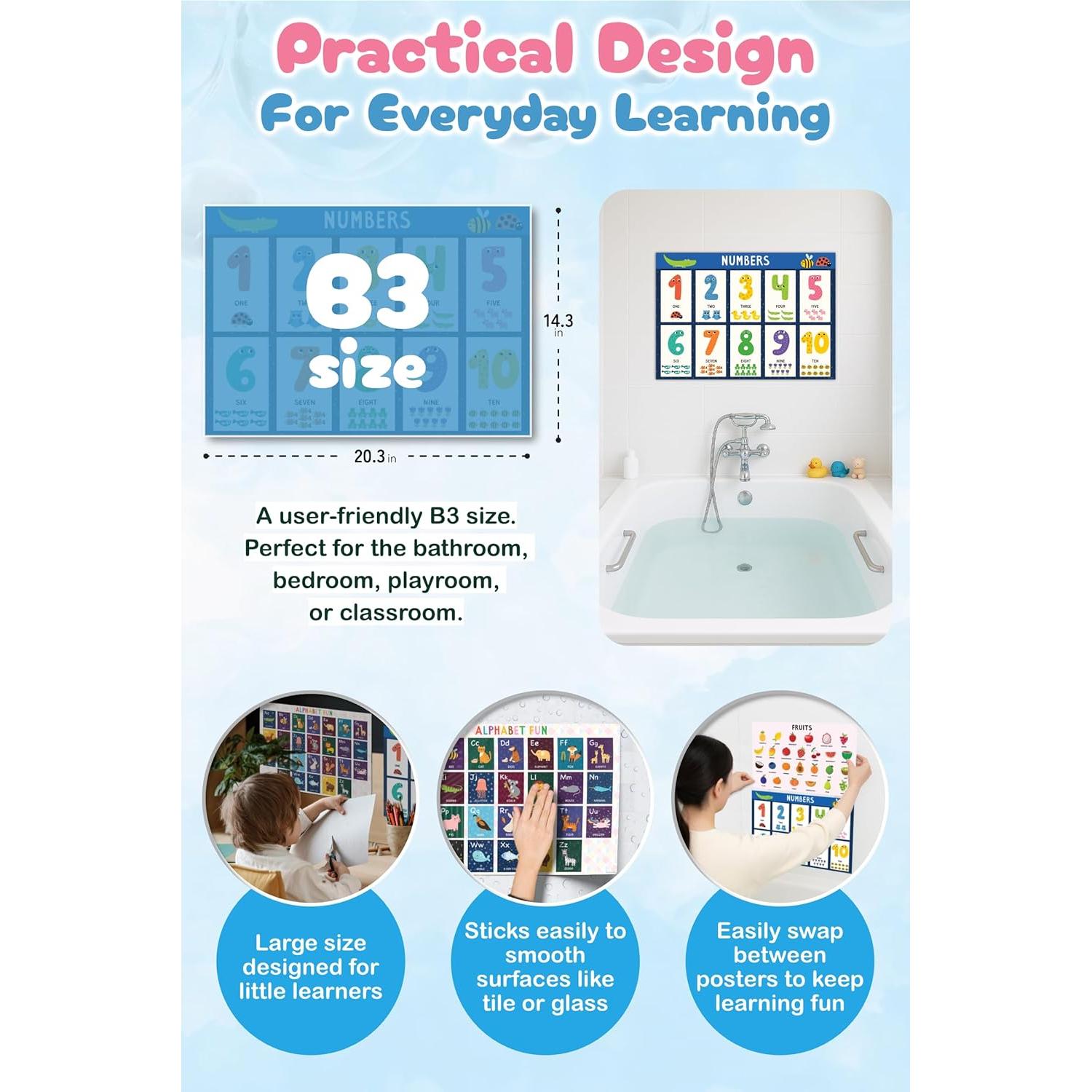 Carteles de Aprendizaje Impermeables Montessori Blue Bird 4 Piezas