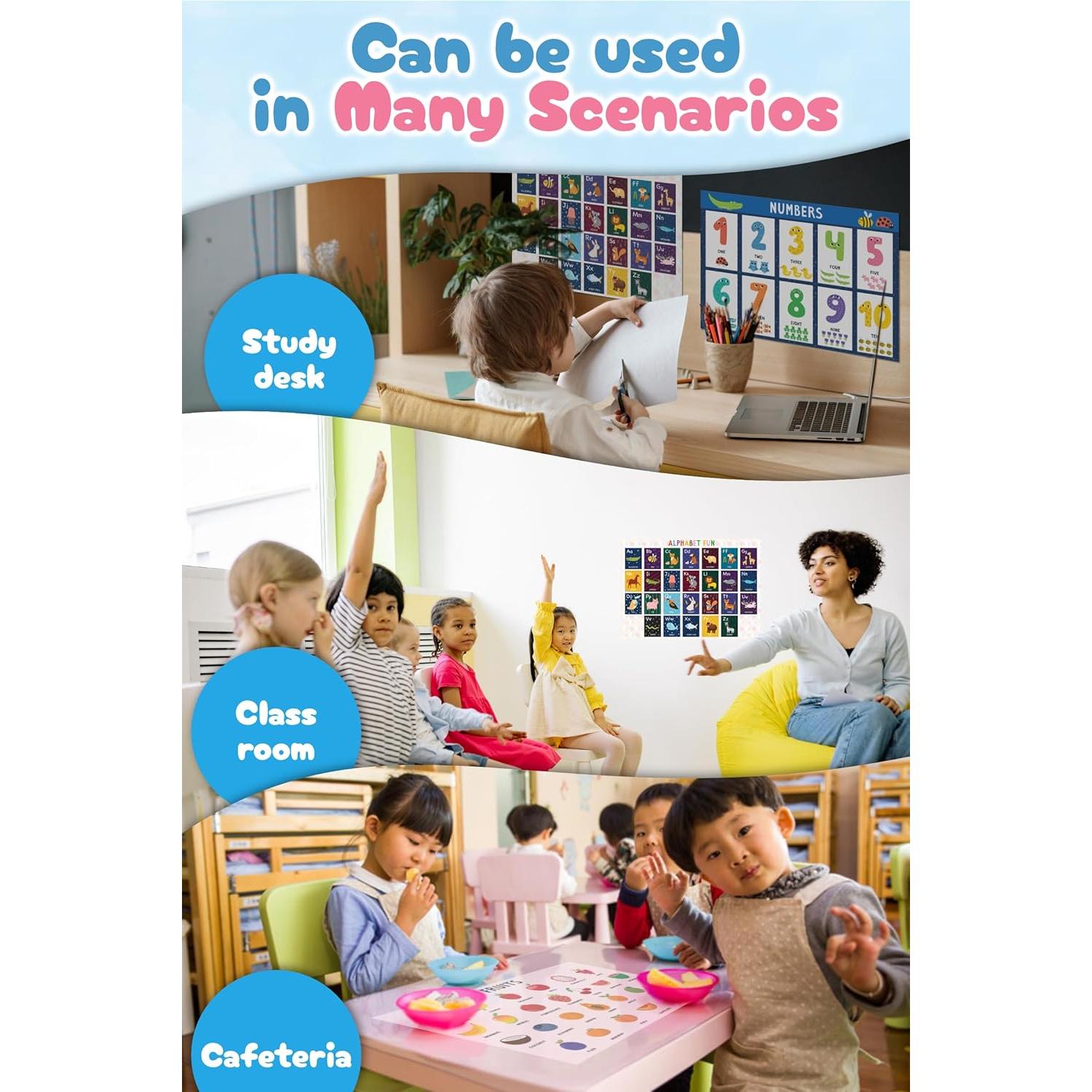 Carteles de Aprendizaje Impermeables Montessori Blue Bird 4 Piezas