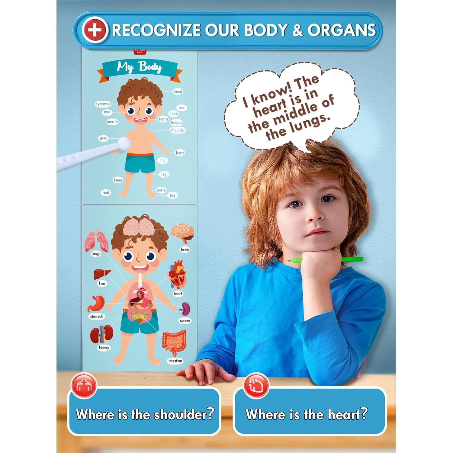 Kit de Doctor de Madera Lehoo para Niños 3+ Años - Juguete Educativo