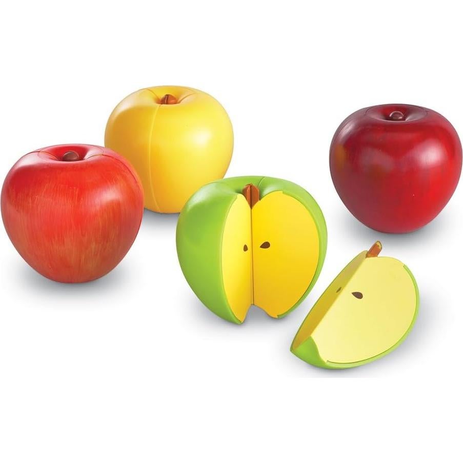 Set de Fracciones Magnéticas Recursos de Aprendizaje 10 Piezas