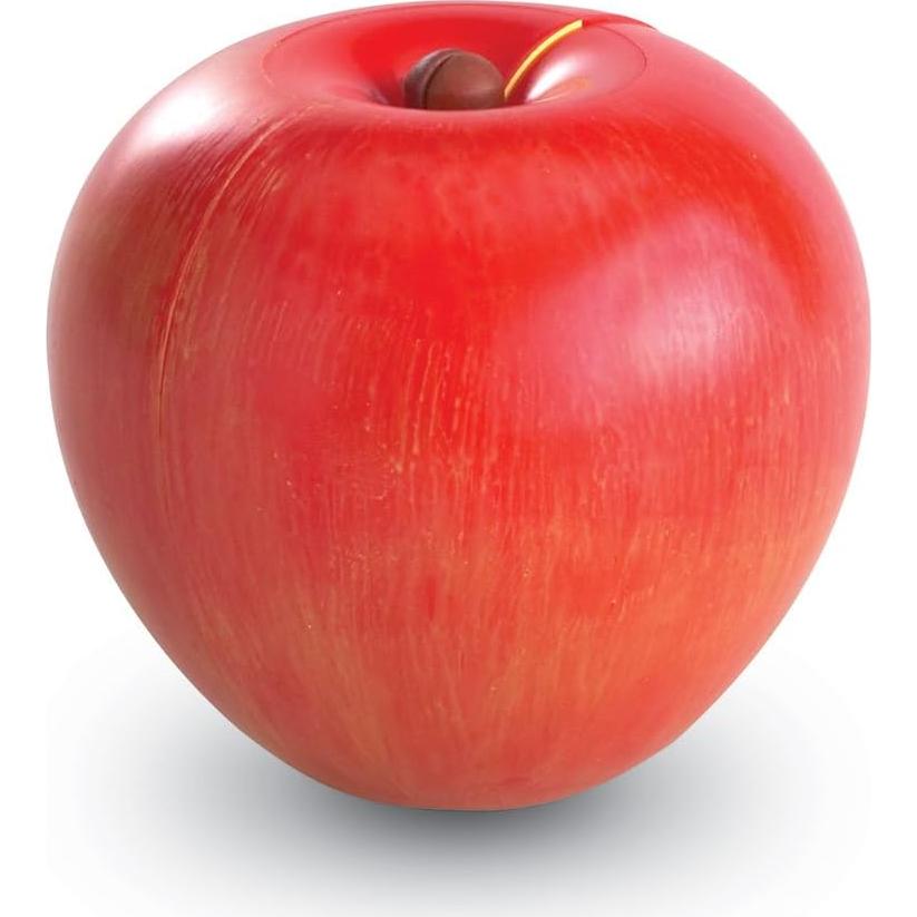 Set de Fracciones Magnéticas Recursos de Aprendizaje 10 Piezas