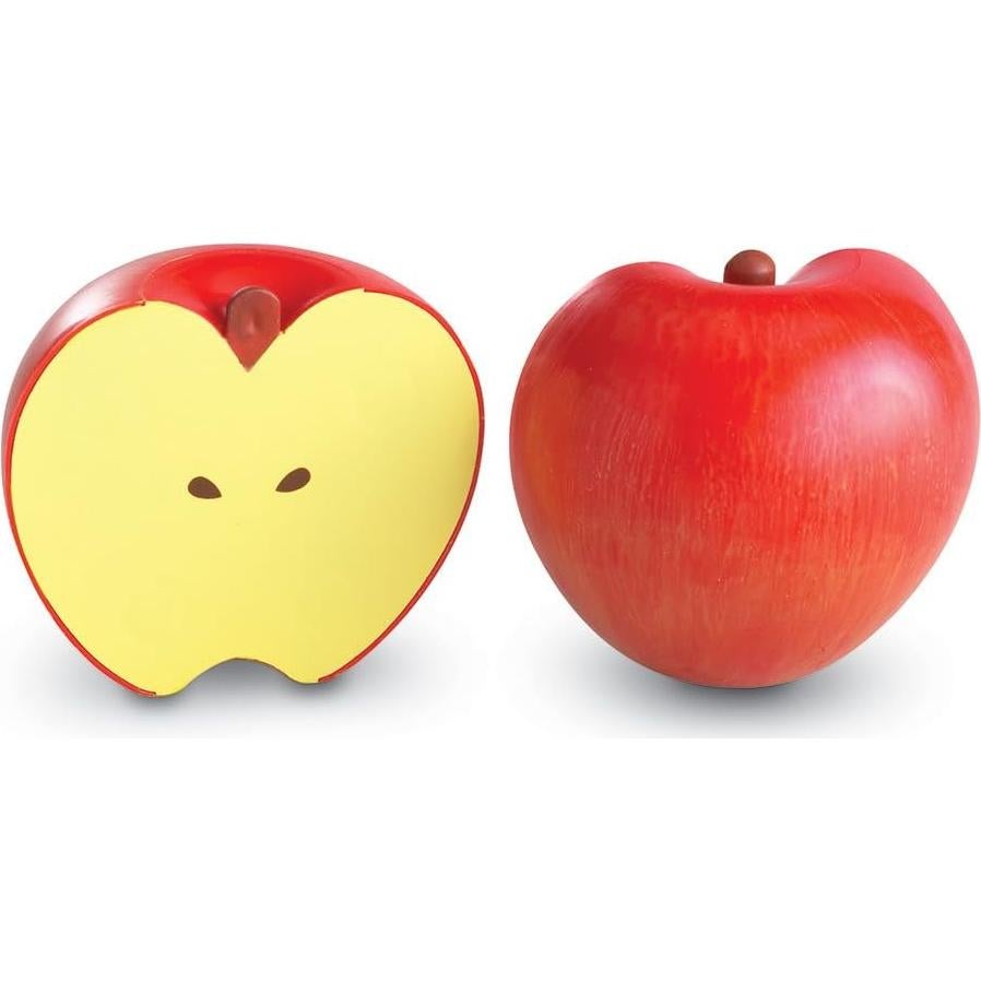 Set de Fracciones Magnéticas Recursos de Aprendizaje 10 Piezas