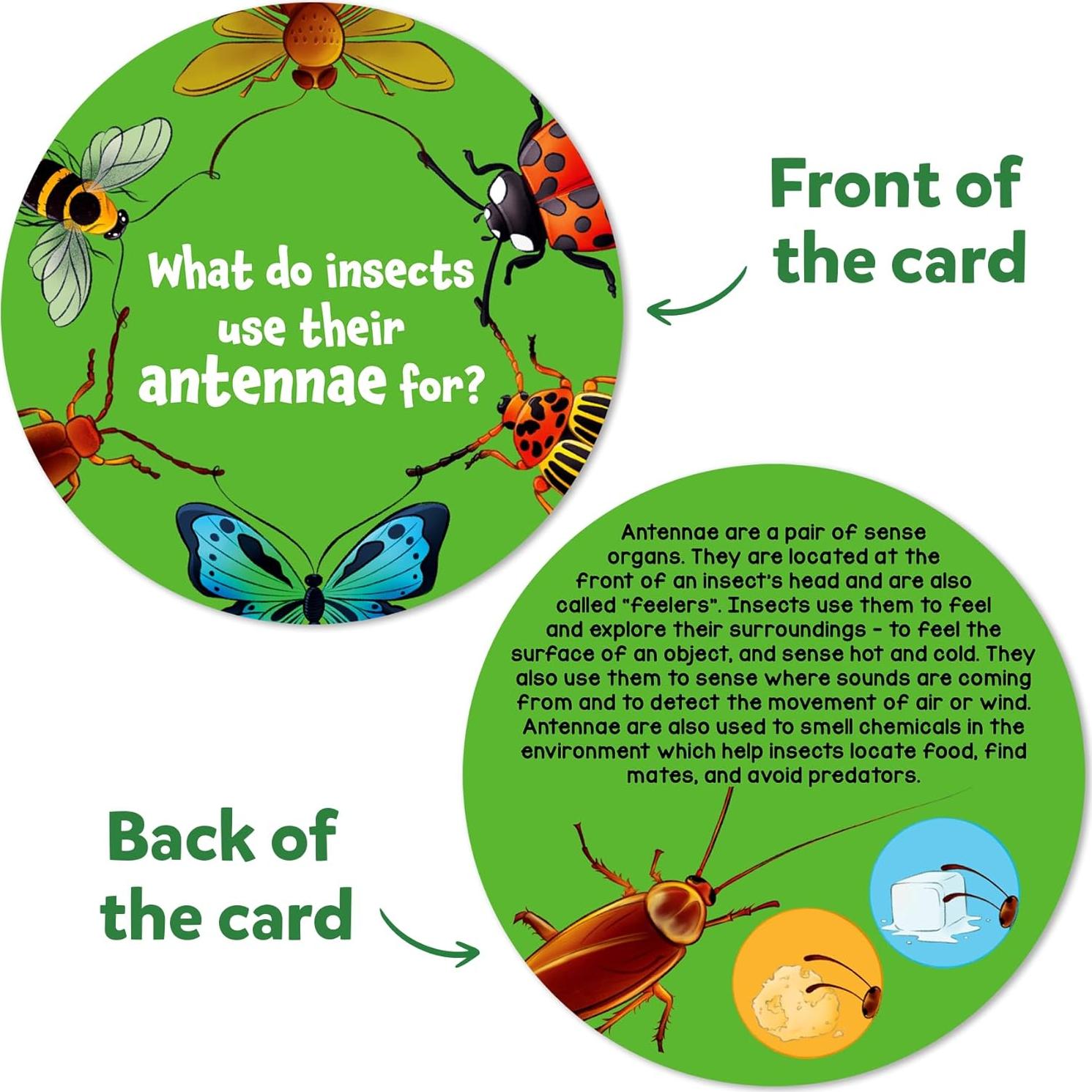 Tarjetas Flash Skillmatics Ciencia Animales - 70 Piezas Educativas