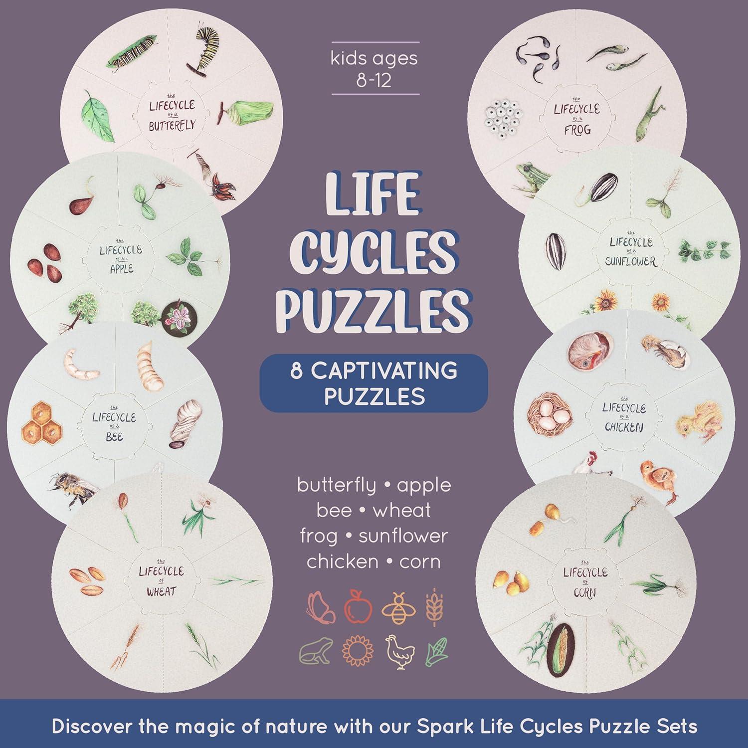 Conjunto de Rompecabezas del Ciclo de Vida Spark Innovations - 8 Piezas