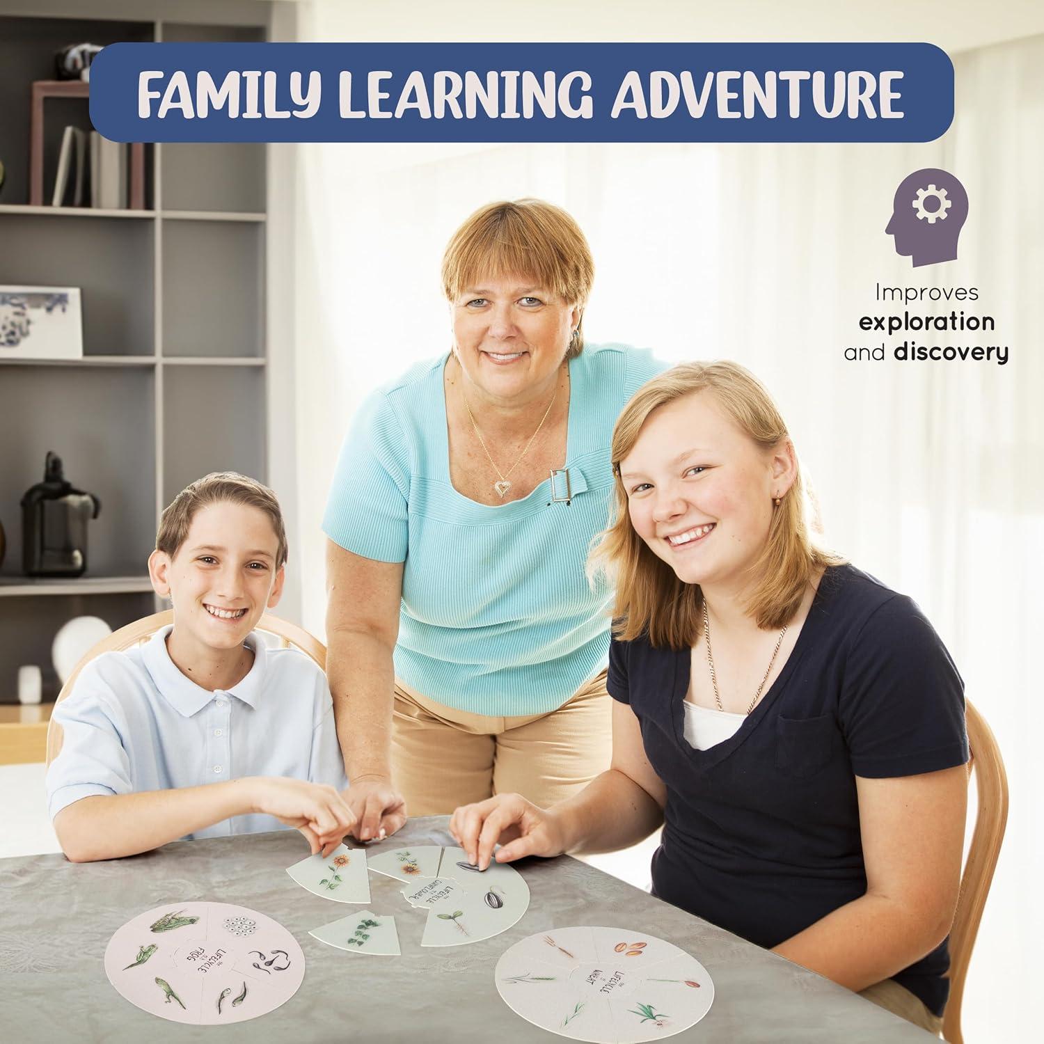 Conjunto de Rompecabezas del Ciclo de Vida Spark Innovations - 8 Piezas