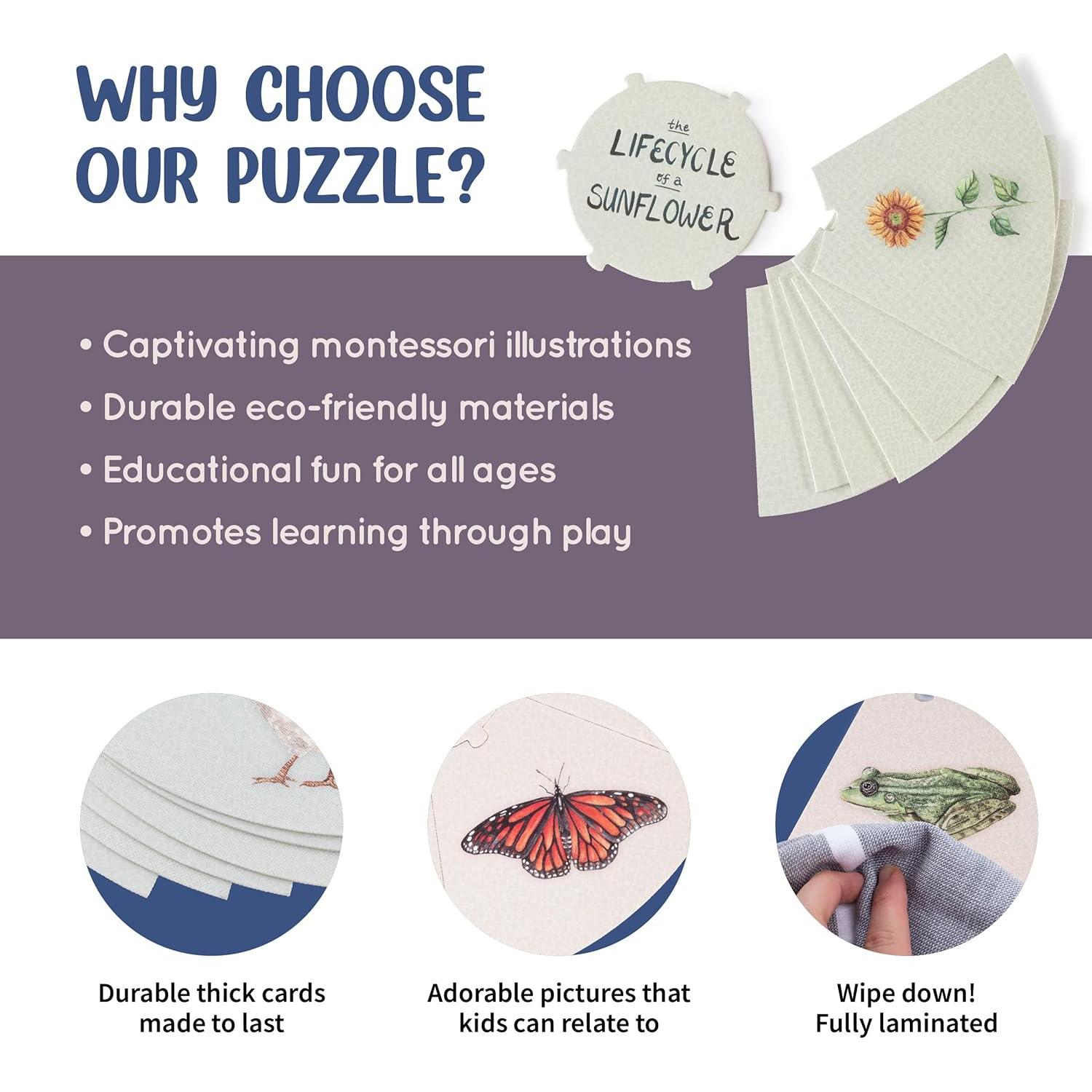 Conjunto de Rompecabezas del Ciclo de Vida Spark Innovations - 8 Piezas