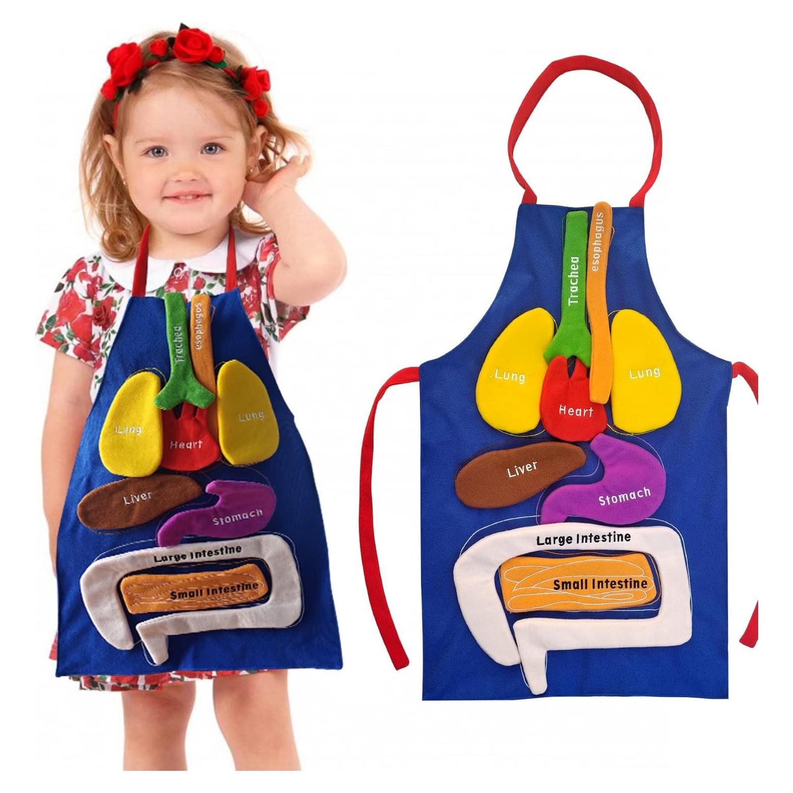 Delantal Educativo 3D de Órganos BOCZIF para Niños