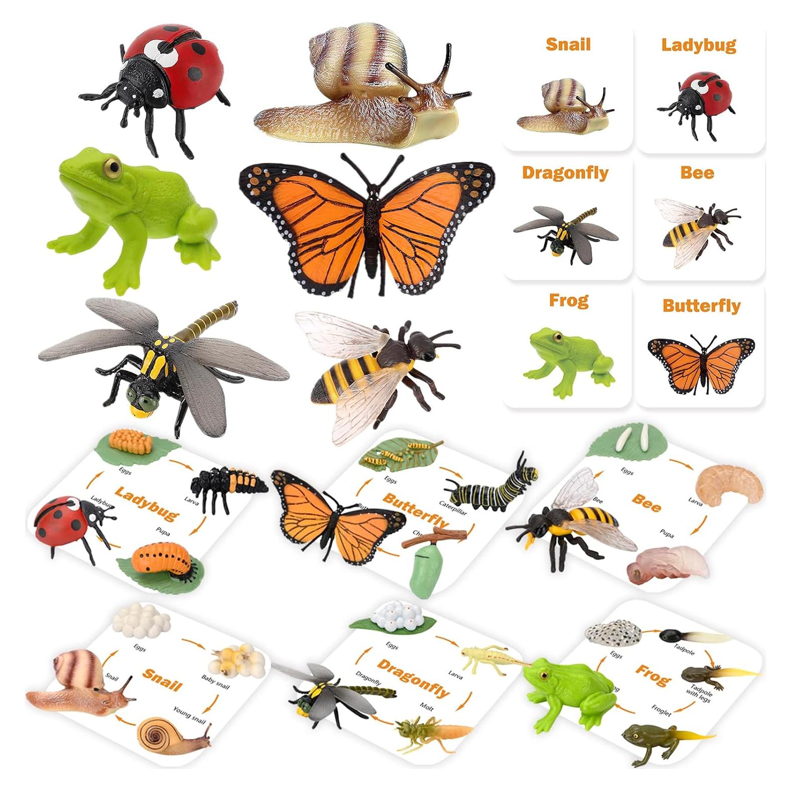 Figuritas Ciclo de Vida Animal Montessori MIKNEKE 6 Piezas