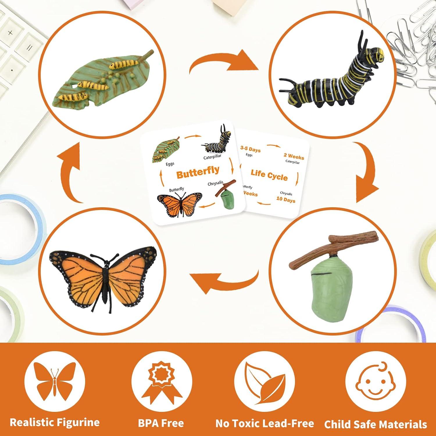 Figuritas Ciclo de Vida Animal Montessori MIKNEKE 6 Piezas