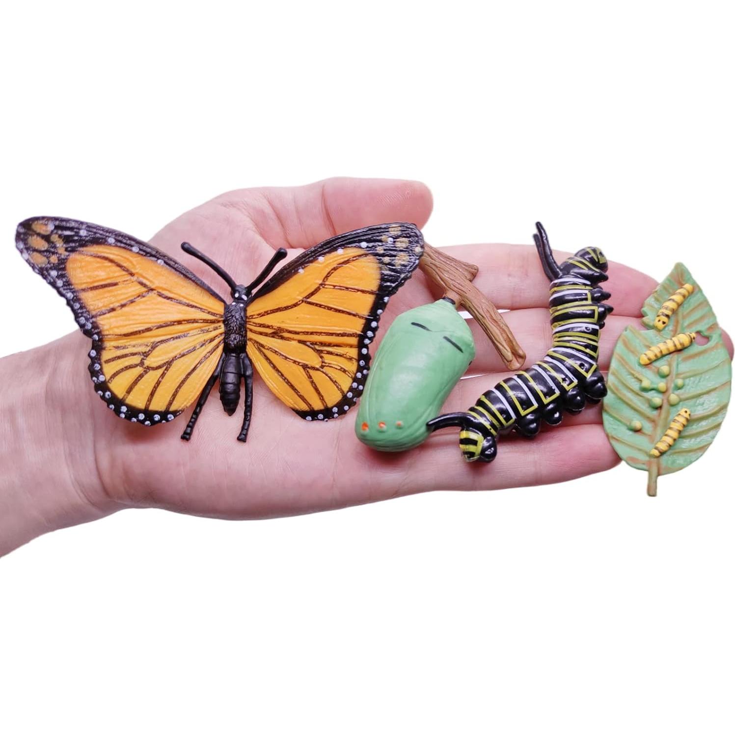 Figuritas Ciclo de Vida Animal Montessori MIKNEKE 6 Piezas