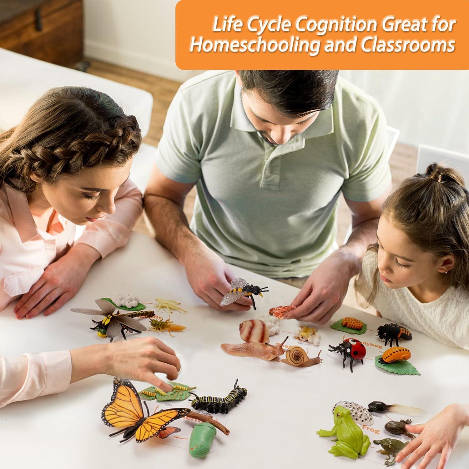 Figuritas Ciclo de Vida Animal Montessori MIKNEKE 6 Piezas