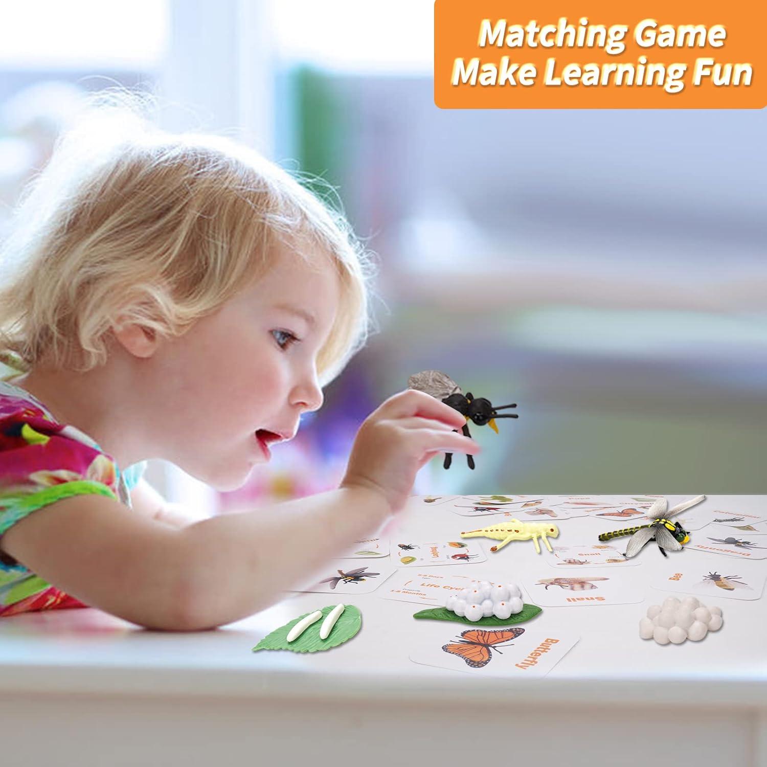 Figuritas Ciclo de Vida Animal Montessori MIKNEKE 6 Piezas