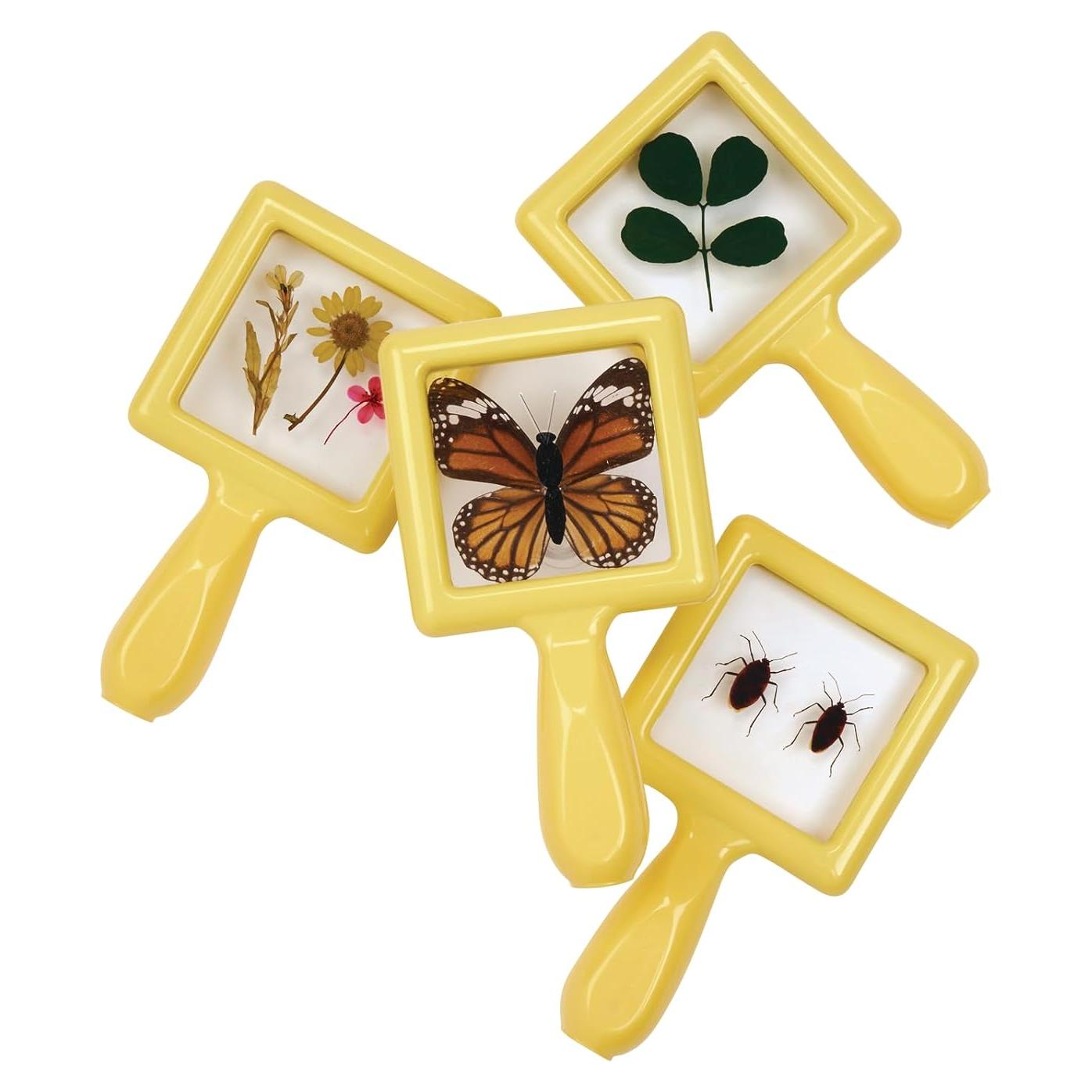 Set de Visores de Especímenes para Niños - Descuento Suministros Escolares