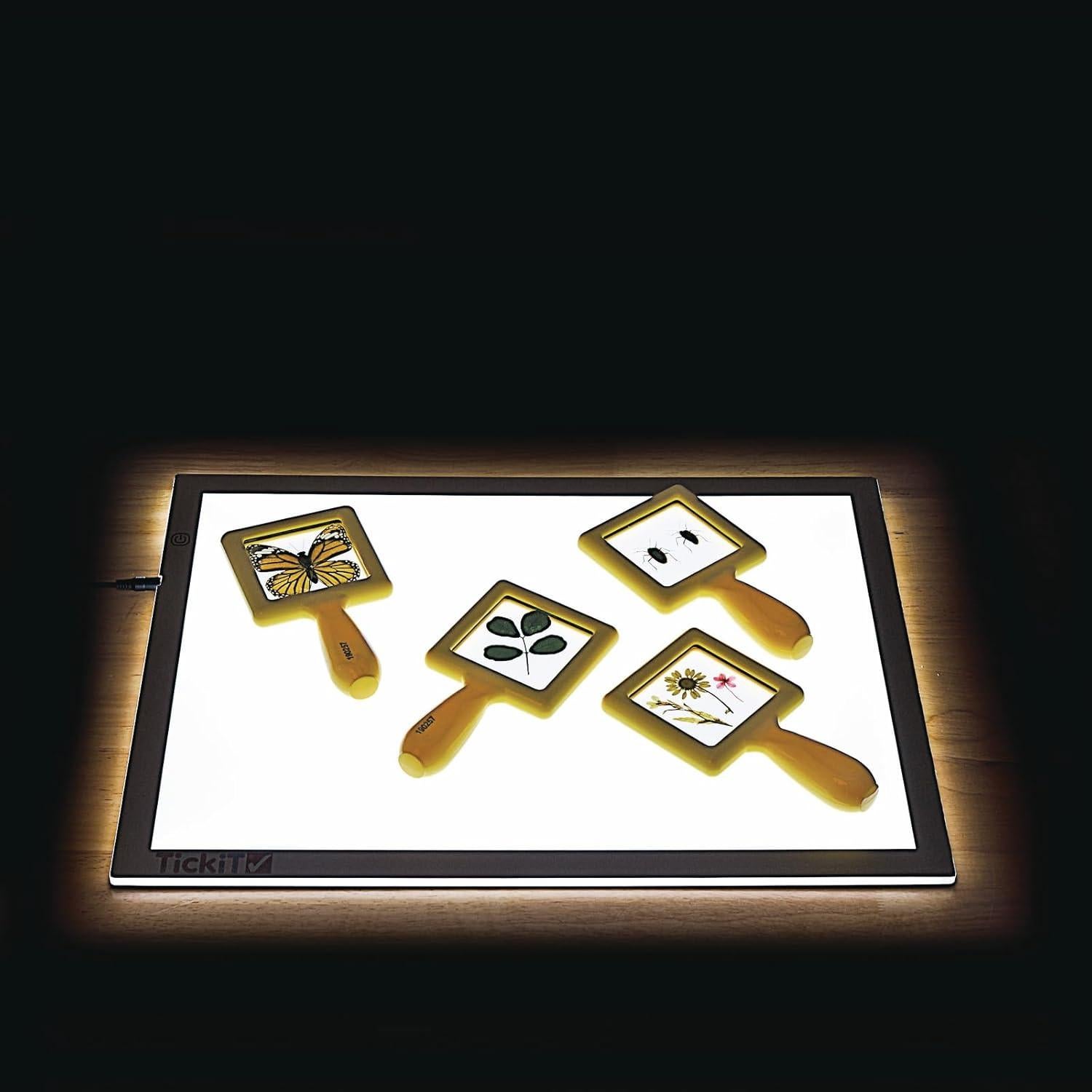 Set de Visores de Especímenes para Niños - Descuento Suministros Escolares