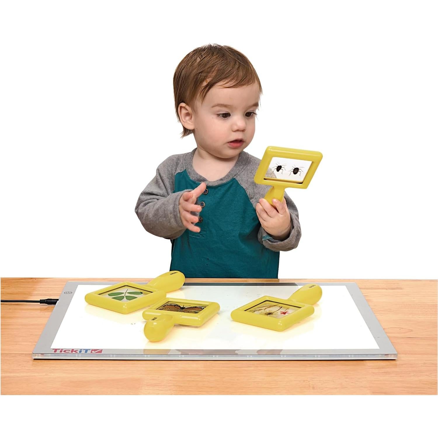 Set de Visores de Especímenes para Niños - Descuento Suministros Escolares