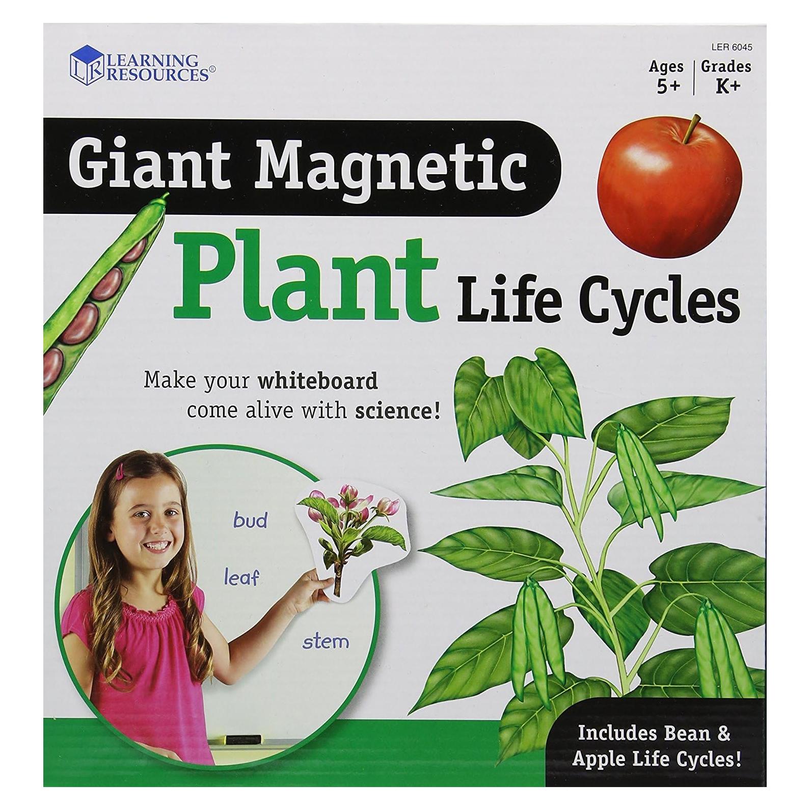 Ciclo de Vida de Plantas Magnético Gigante Learning Resources - 12 Piezas