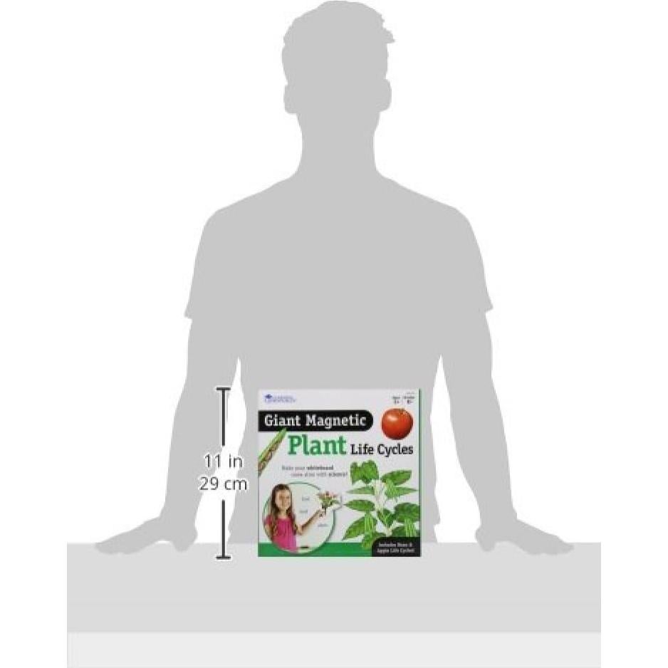 Ciclo de Vida de Plantas Magnético Gigante Learning Resources - 12 Piezas