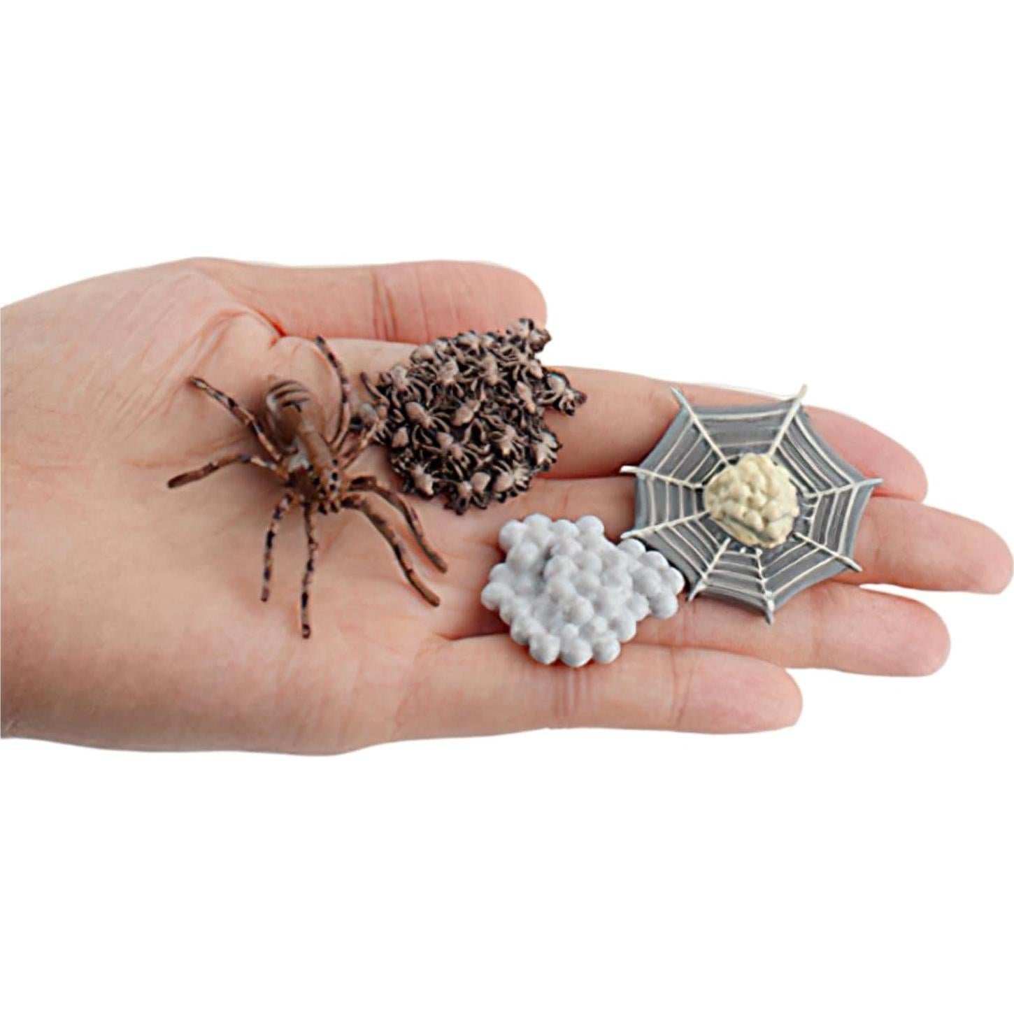 Figuras de Ciclo de Vida de Animales MIKNEKE - Araña y Tarjetas