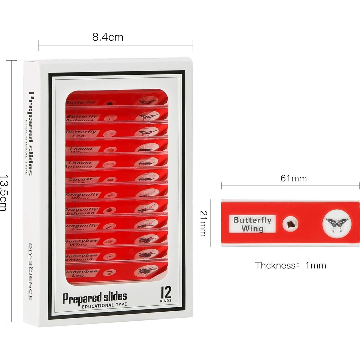 48 Portaobjetos de Microscopio Preparados DIY-SCIENCE EDU