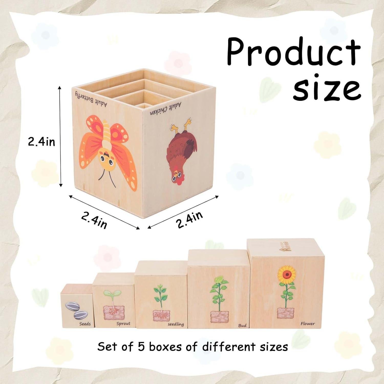 Juguetes Educativos de Ciclo de Vida Adena Montessori 5 Piezas