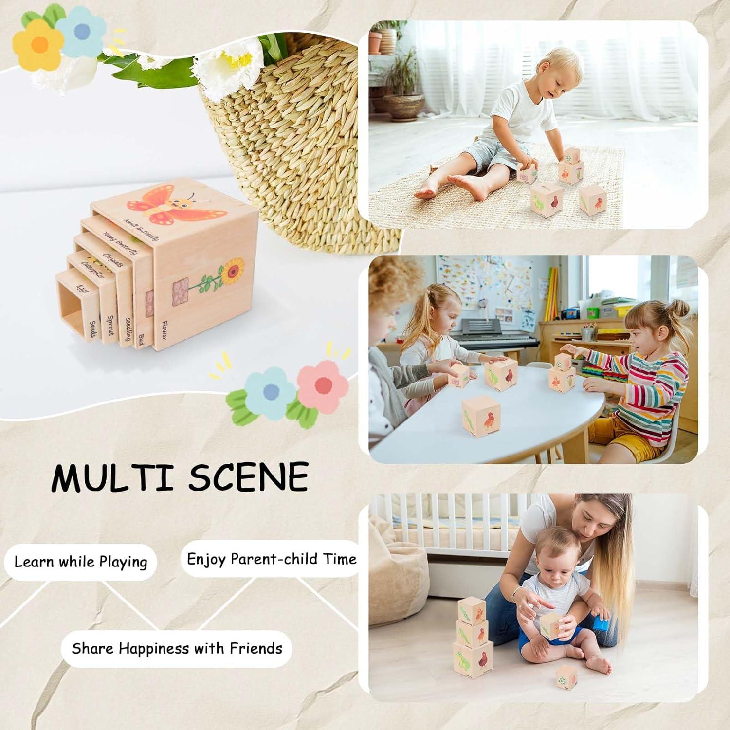 Juguetes Educativos de Ciclo de Vida Adena Montessori 5 Piezas