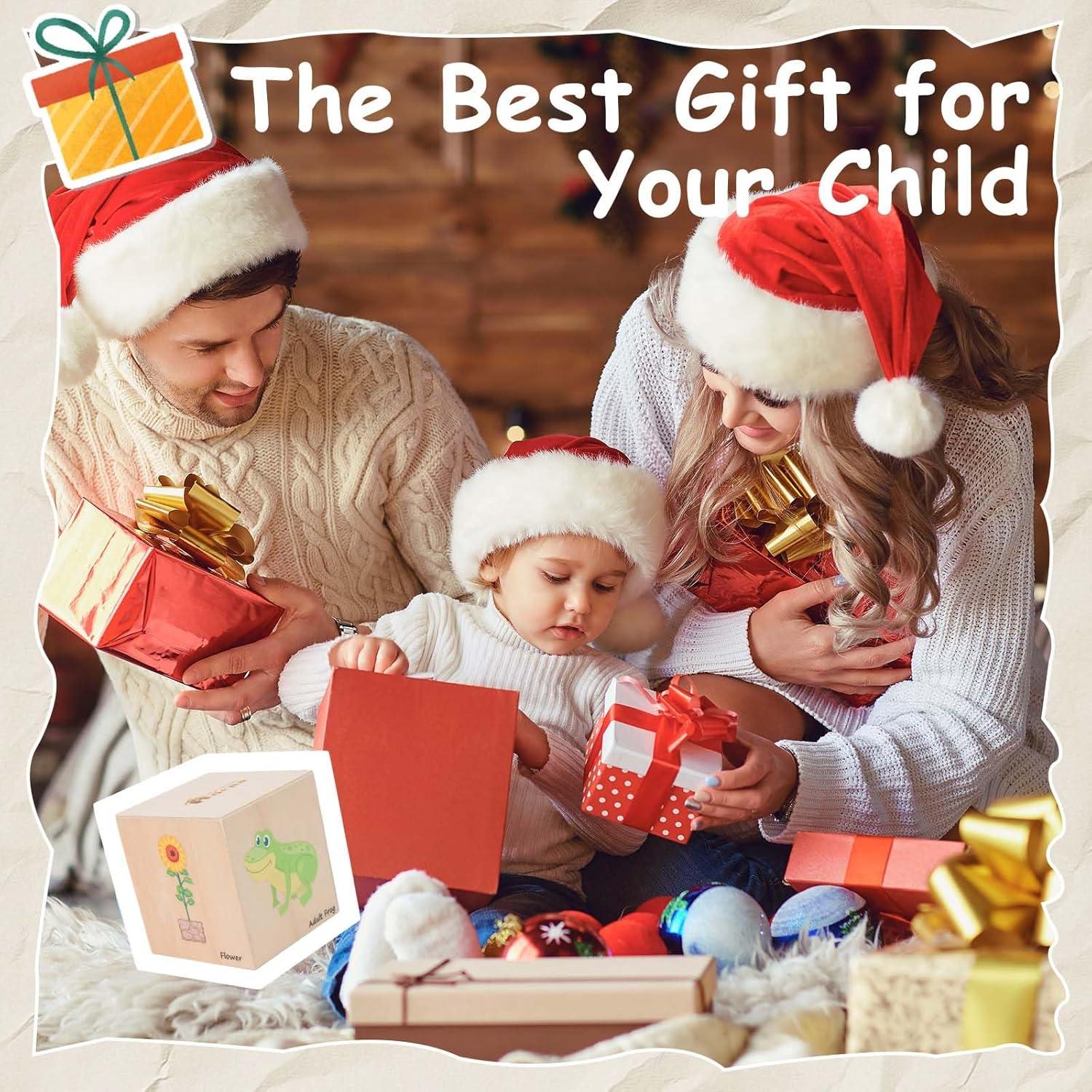 Juguetes Educativos de Ciclo de Vida Adena Montessori 5 Piezas