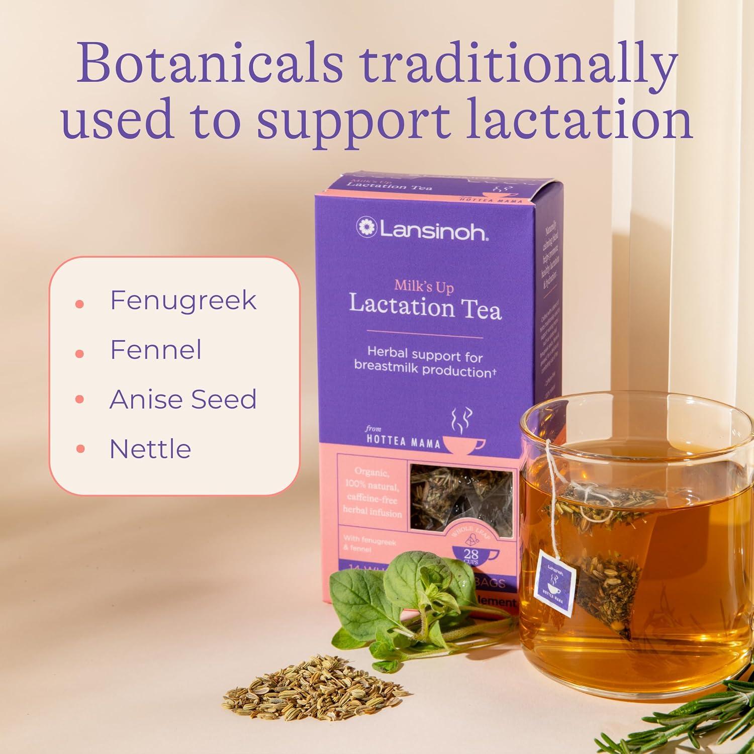 Té de Apoyo para Lactancia Lansinoh + HotTea Mama 14 Bolsitas