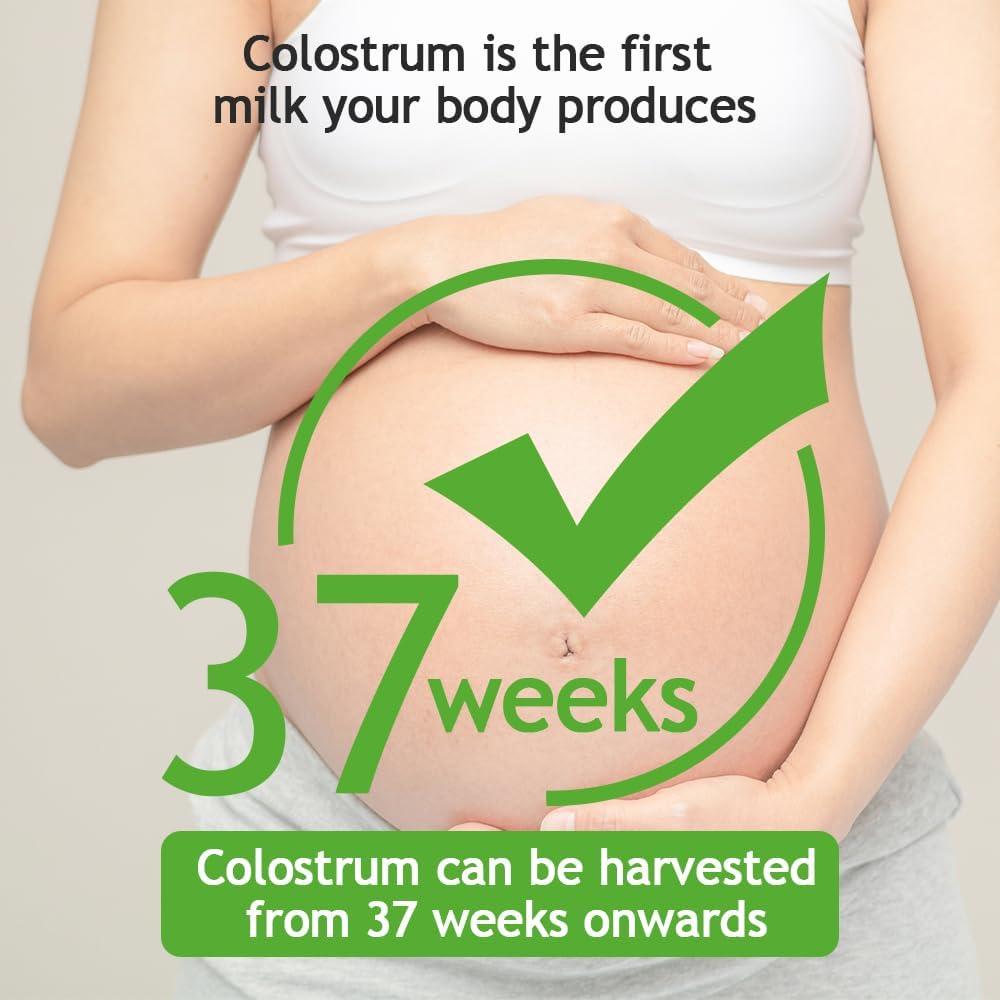 Conjunto de recolectores de calostro Haakaa 6 unidades 4 ml