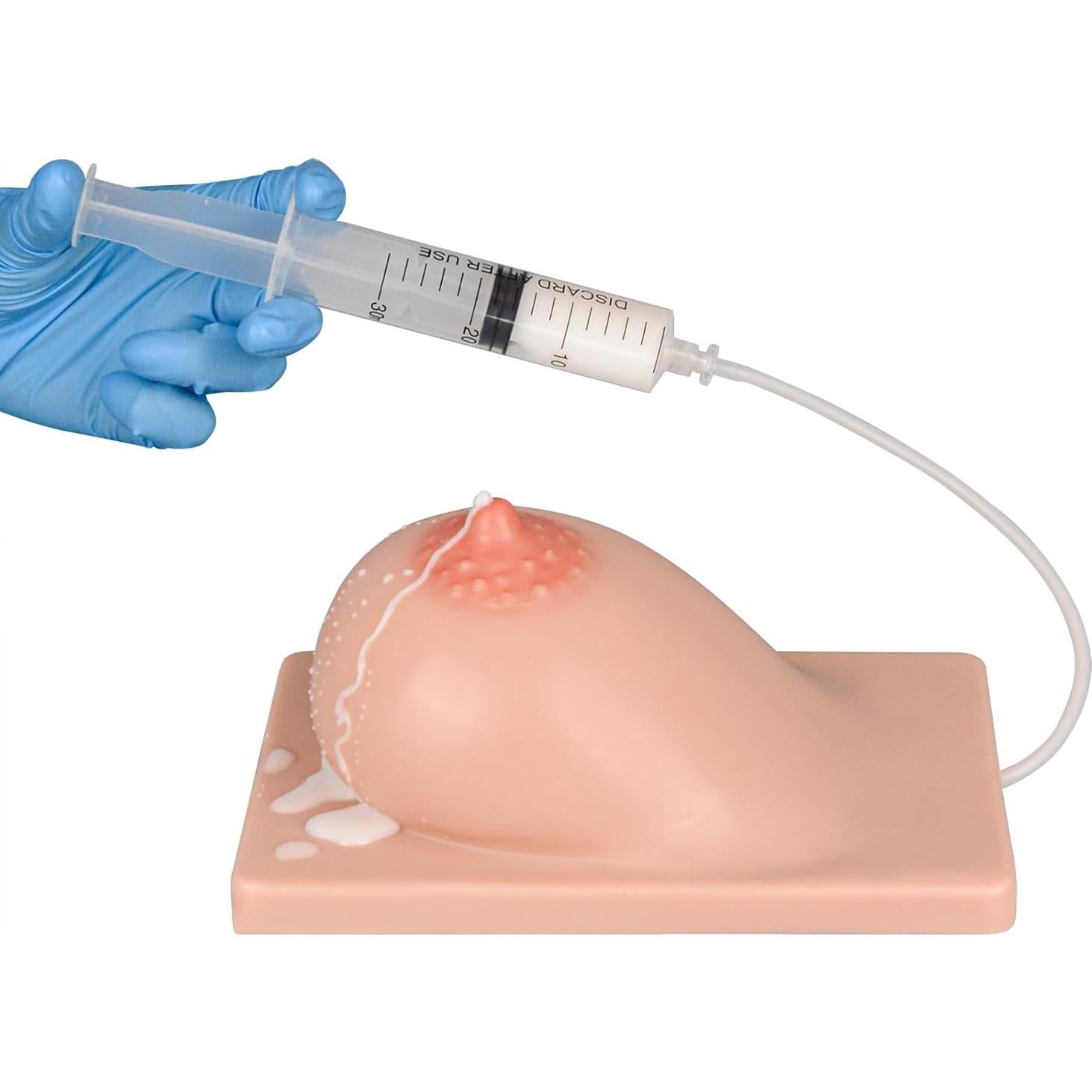 Modelo de Lactancia Izquierdo MedEduQuest Silicona 21.96x16.99cm