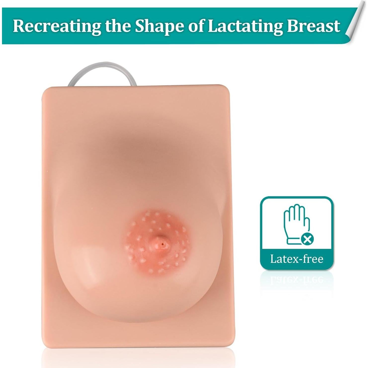 Modelo de Lactancia Izquierdo MedEduQuest Silicona 21.96x16.99cm