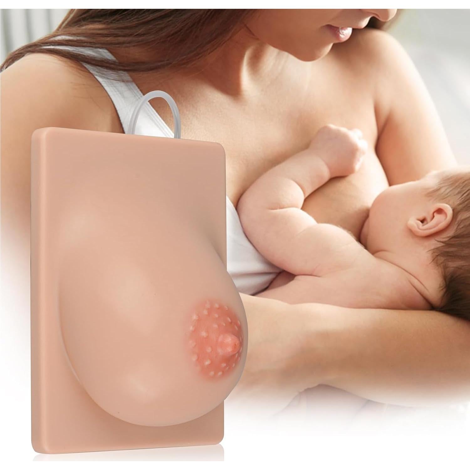 Modelo de Lactancia Izquierdo MedEduQuest Silicona 21.96x16.99cm