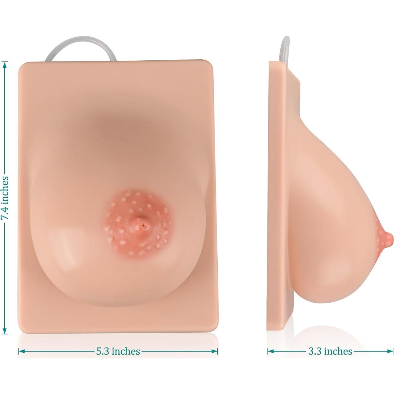 Modelo de Lactancia Izquierdo MedEduQuest Silicona 21.96x16.99cm