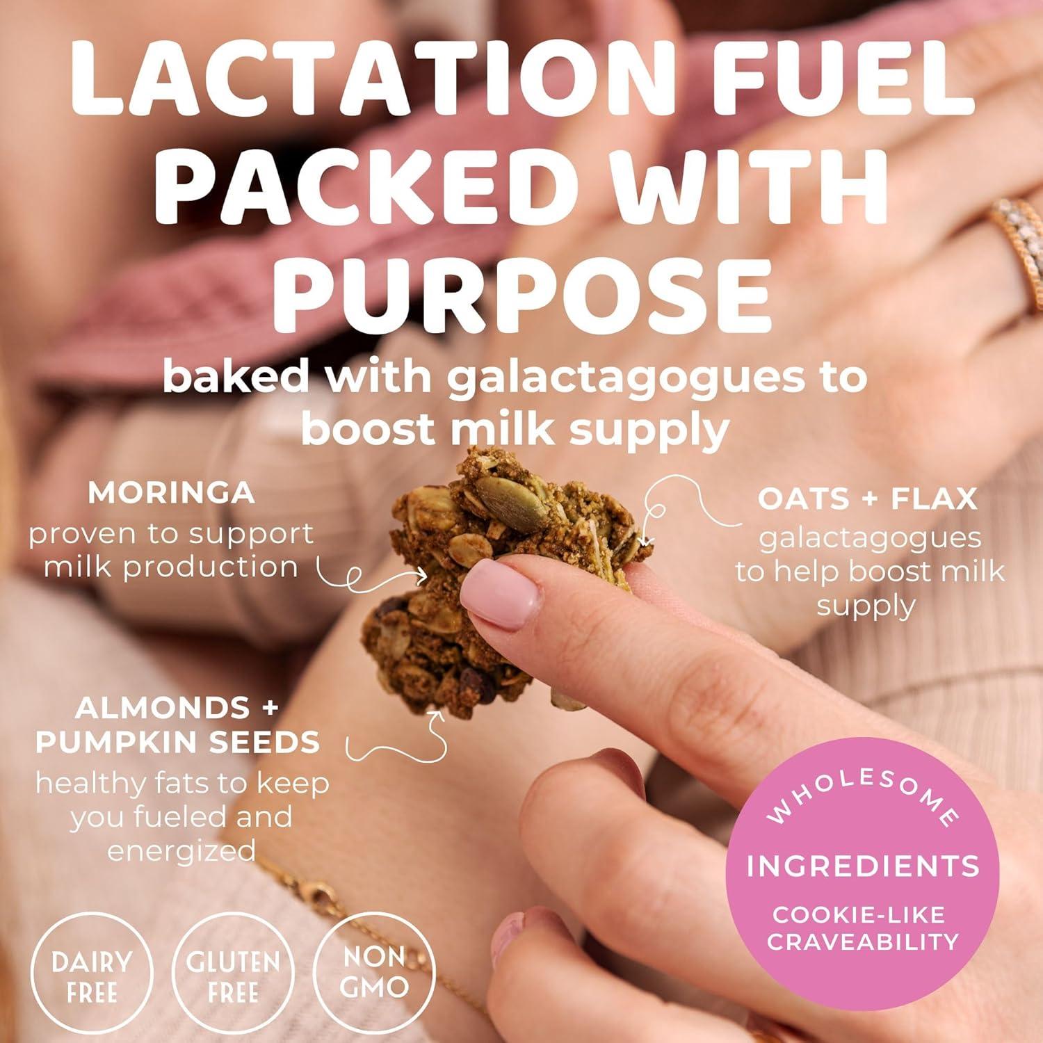 Granola de Lactancia Lacnola The Hampton Grocer 2 Paquetes 226g