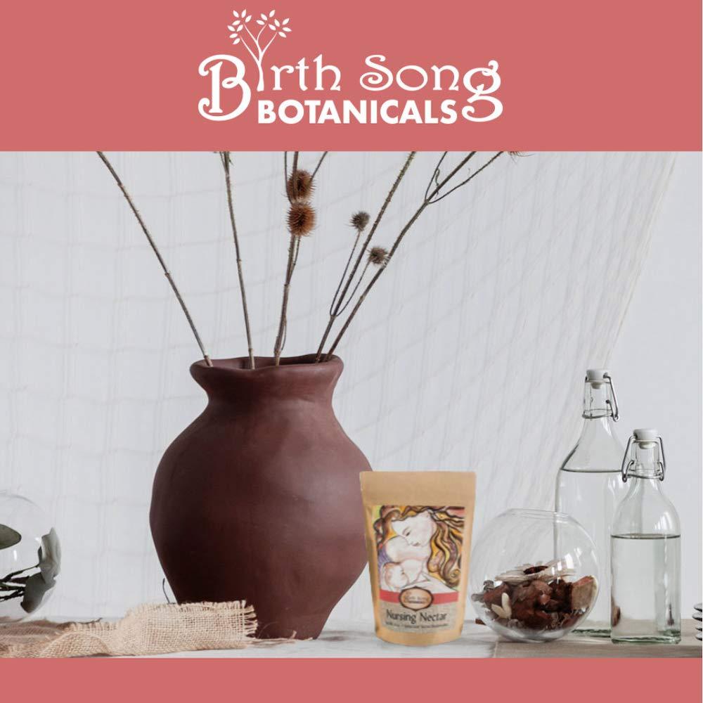 Birth Song Botanicals Nursing Nectar Herbal Breastfeeding Tea – Organic Lactation Tea to Increase Milk Supply, Enhance Milk Production & Breastmilk Flow* – 40 Servings