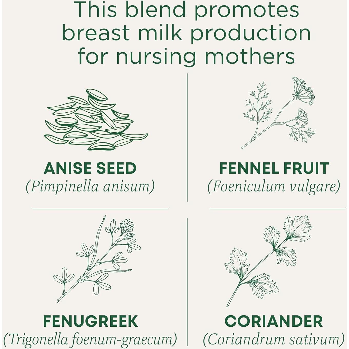 Té de Lactancia Orgánico Traditional Medicinals 16 Bolsitas