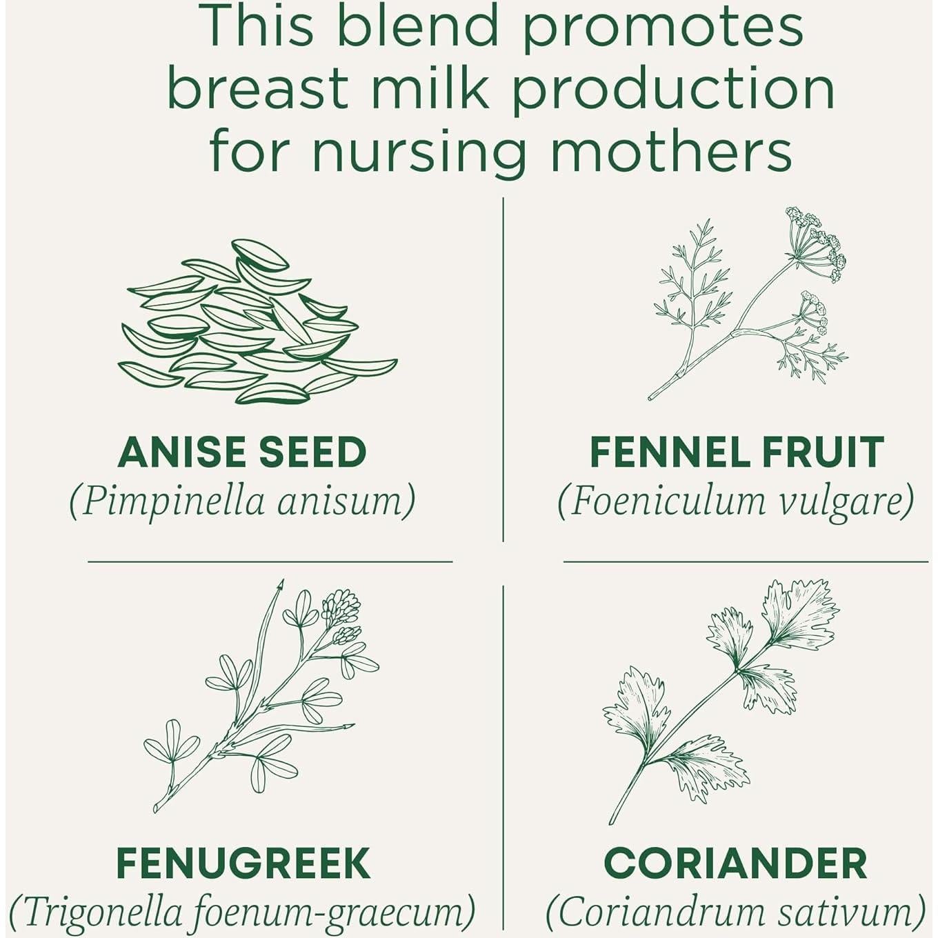 Té Orgánico para Lactancia KD Chocolate - 16 Bolsitas