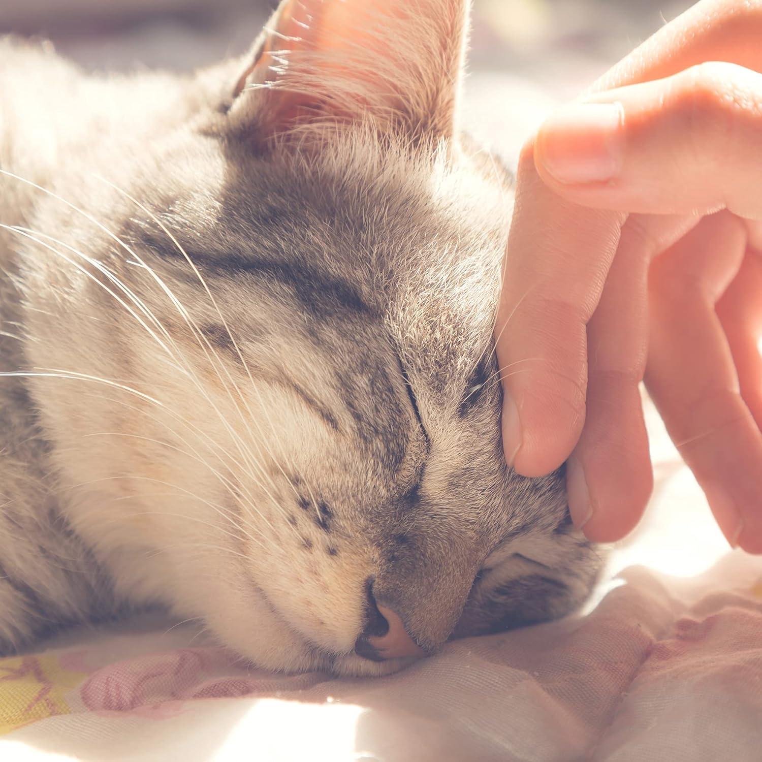 Casa para Gatos PETMAKER - Cama Interior con Cojín Removible